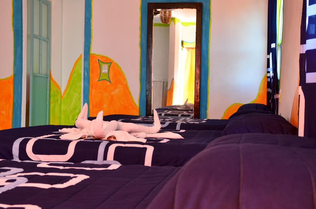 Adventure Experience Hotel Playa del Carmen Exterior foto